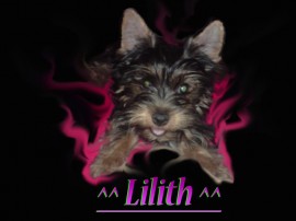 Lilith